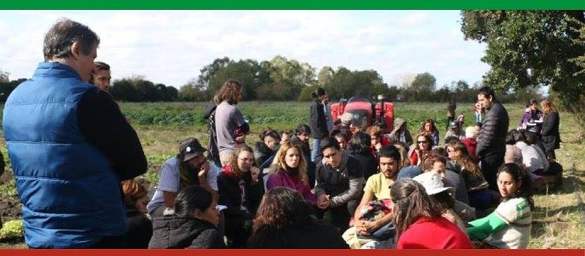Asamblea de Mercado Territorial